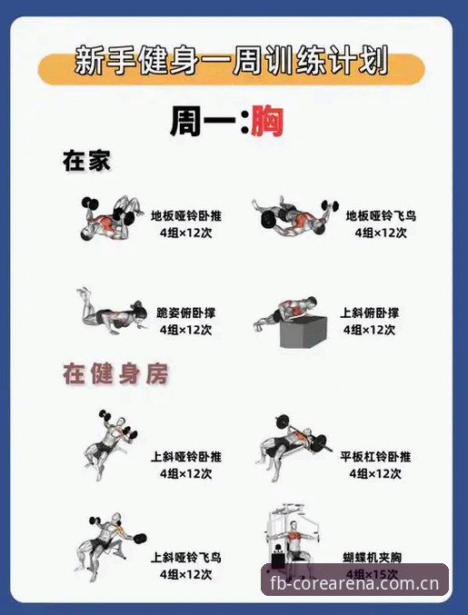 FB体育怎么用功能详解：从入门到精通的操作教程